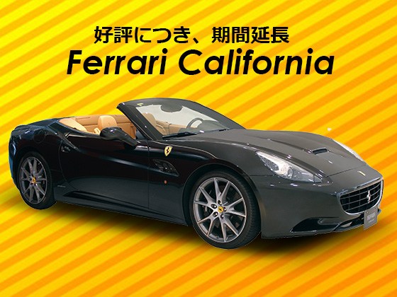 好評につき期間延長！！