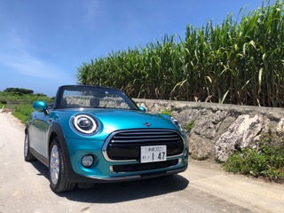 【空とサトウキビとＭＩＮＩ】