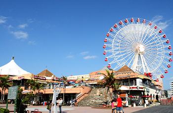 美浜
